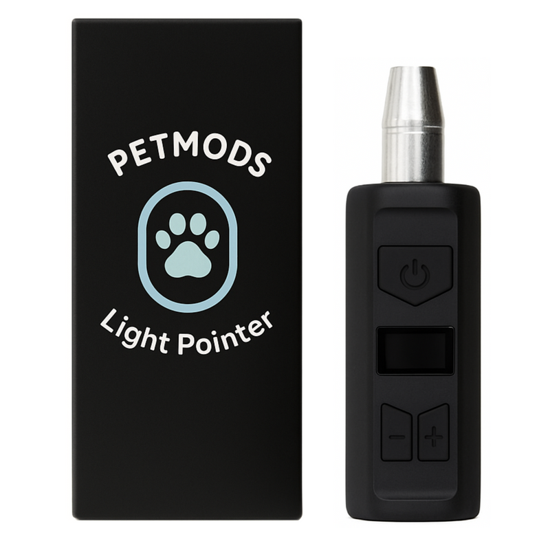 MATTE BLACK LIGHT POINTER